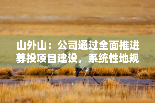 山外山：公司通过全面推进募投项目建设，系统性地规划了未来产能提升路径