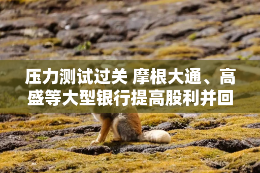压力测试过关 摩根大通、高盛等大型银行提高股利并回购股份