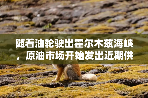 随着油轮驶出霍尔木兹海峡，原油市场开始发出近期供应过剩信号