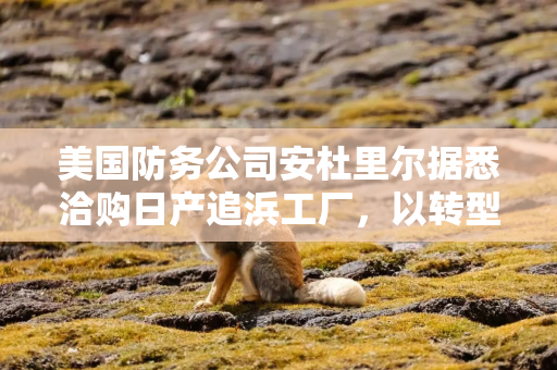 美国防务公司安杜里尔据悉洽购日产追浜工厂，以转型生产军用无人机