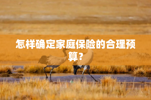 怎样确定家庭保险的合理预算？