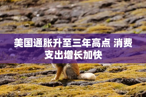 美国通胀升至三年高点 消费支出增长加快