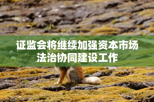 证监会将继续加强资本市场法治协同建设工作