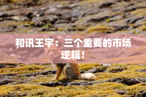 和讯王宇：三个重要的市场逻辑！