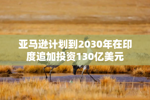 亚马逊计划到2030年在印度追加投资130亿美元