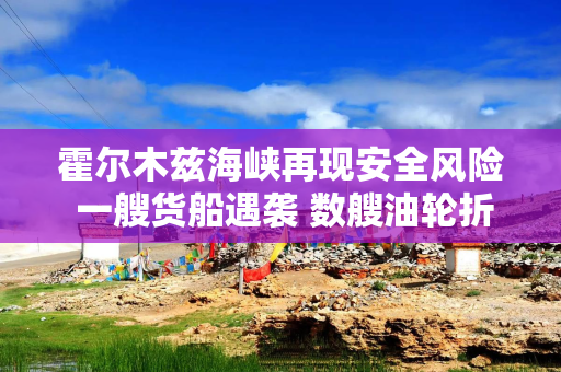 霍尔木兹海峡再现安全风险 一艘货船遇袭 数艘油轮折返