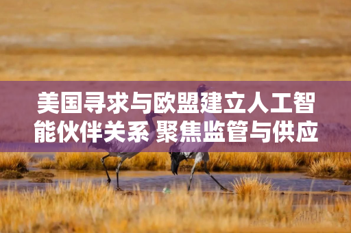 美国寻求与欧盟建立人工智能伙伴关系 聚焦监管与供应链合作