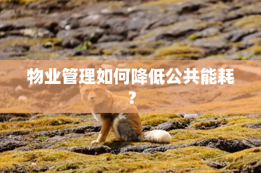 物业管理如何降低公共能耗？