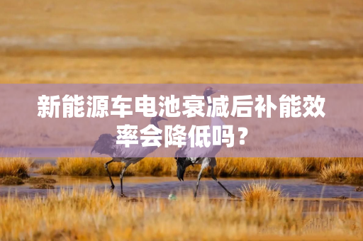 新能源车电池衰减后补能效率会降低吗？