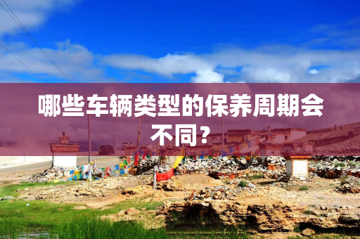 哪些车辆类型的保养周期会不同？