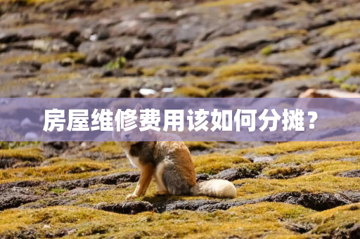 房屋维修费用该如何分摊？