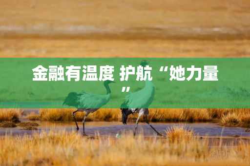 金融有温度 护航“她力量”