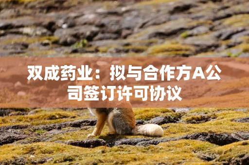 双成药业：拟与合作方A公司签订许可协议