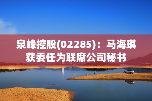 泉峰控股(02285)：马海琪获委任为联席公司秘书