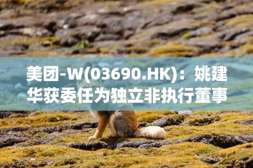 美团-W(03690.HK)：姚建华获委任为独立非执行董事