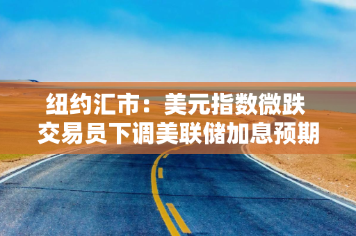 纽约汇市：美元指数微跌 交易员下调美联储加息预期