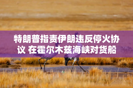 特朗普指责伊朗违反停火协议 在霍尔木兹海峡对货船发动袭击