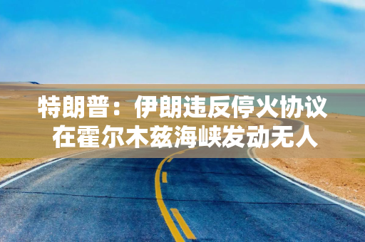 特朗普：伊朗违反停火协议 在霍尔木兹海峡发动无人机袭击