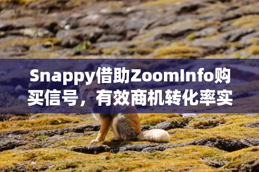 Snappy借助ZoomInfo购买信号,有效商机转化率实现翻倍 Snappy借助ZoomInfo购买信号,有效商机转化率实现翻倍
