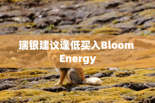 瑞银建议逢低买入Bloom Energy