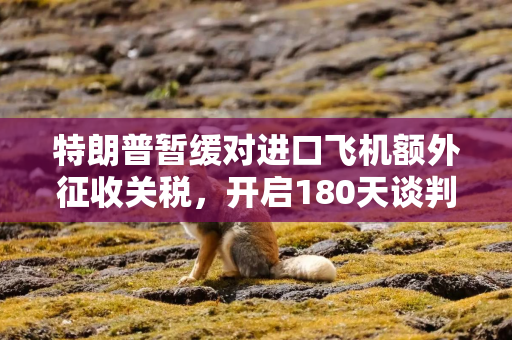 特朗普暂缓对进口飞机额外征收关税，开启180天谈判窗口