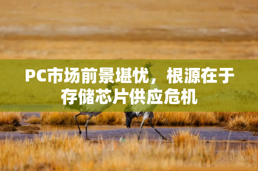 PC市场前景堪忧，根源在于存储芯片供应危机