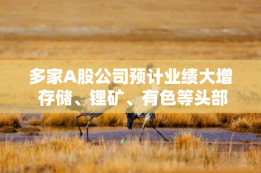 多家A股公司预计业绩大增 存储、锂矿、有色等头部企业表现亮眼 多家A股公司预计业绩大增 存储、锂矿、有色等头部企业表现亮眼