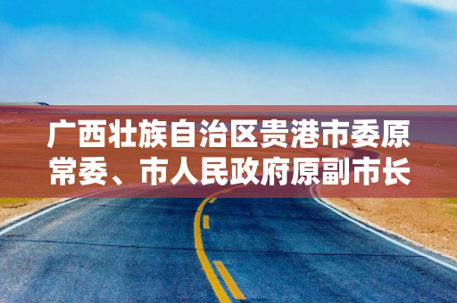 广西壮族自治区贵港市委原常委、市人民政府原副市长潘汉胜被开除党籍和公职