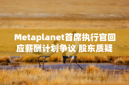 Metaplanet首席执行官回应薪酬计划争议 股东质疑透明度问题