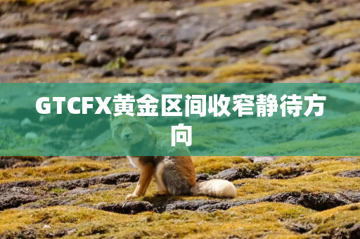 GTCFX黄金区间收窄静待方向