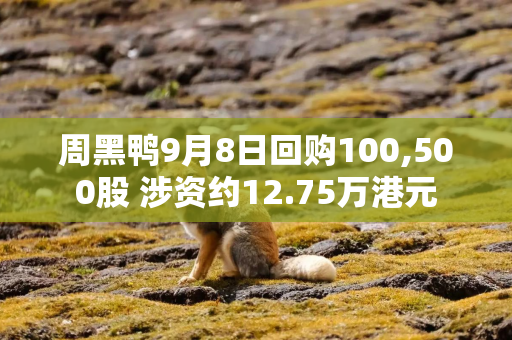 周黑鸭9月8日回购100,500股 涉资约12.75万港元
