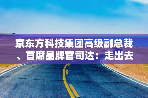 京东方科技集团高级副总裁、首席品牌官司达：走出去更要长进去