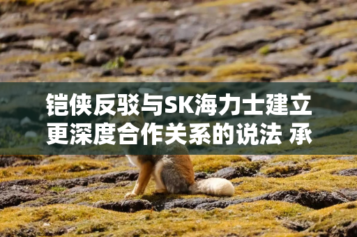 铠侠反驳与SK海力士建立更深度合作关系的说法 承诺缓解芯片价格涨势