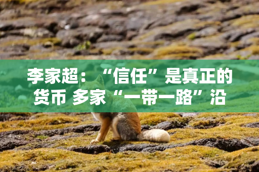 李家超：“信任”是真正的货币 多家“一带一路”沿线国家公司在港交所上市通道中
