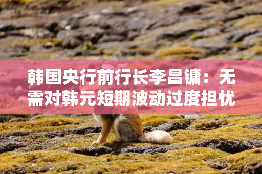 韩国央行前行长李昌镛：无需对韩元短期波动过度担忧