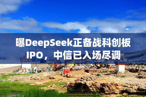 曝DeepSeek正备战科创板IPO，中信已入场尽调