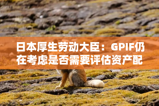 日本厚生劳动大臣：GPIF仍在考虑是否需要评估资产配置