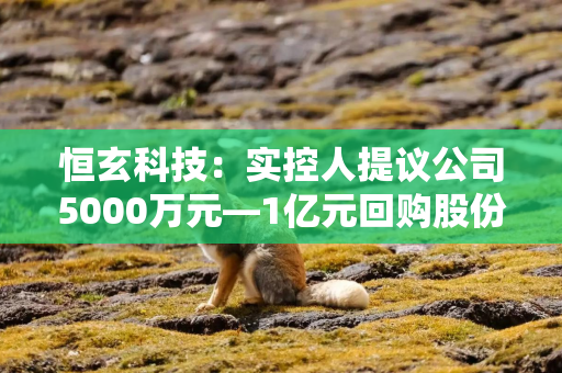 恒玄科技：实控人提议公司5000万元—1亿元回购股份