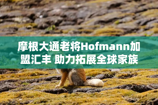 摩根大通老将Hofmann加盟汇丰 助力拓展全球家族办公室业务