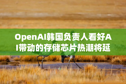 OpenAI韩国负责人看好AI带动的存储芯片热潮将延续