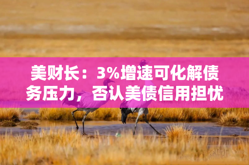 美财长：3%增速可化解债务压力，否认美债信用担忧