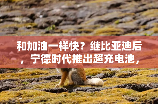 和加油一样快？继比亚迪后，宁德时代推出超充电池，充电5分钟能跑520公里