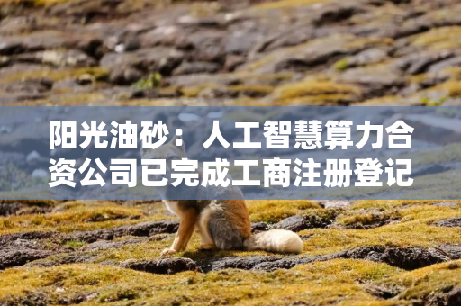 阳光油砂：人工智慧算力合资公司已完成工商注册登记