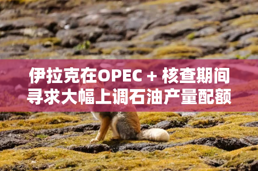 伊拉克在OPEC + 核查期间寻求大幅上调石油产量配额