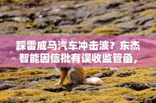 踩雷威马汽车冲击波？东杰智能因信批有误收监管函，近2年亏损5亿元