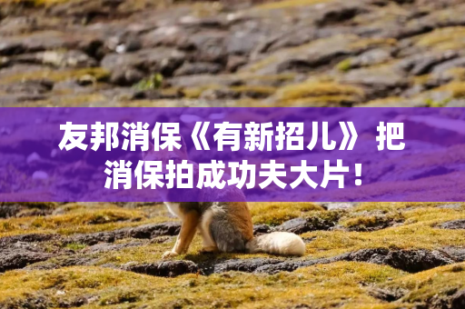友邦消保《有新招儿》 把消保拍成功夫大片！
