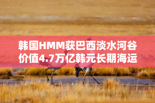 韩国HMM获巴西淡水河谷价值4.7万亿韩元长期海运合同