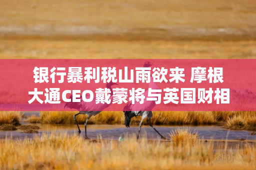 银行暴利税山雨欲来 摩根大通CEO戴蒙将与英国财相会面