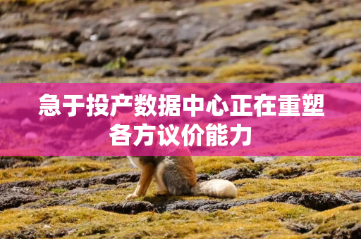 急于投产数据中心正在重塑各方议价能力