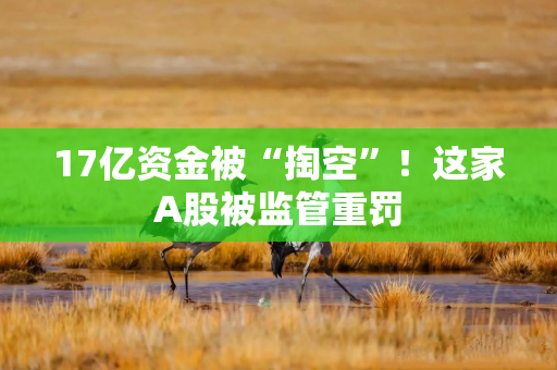 17亿资金被“掏空”！这家A股被监管重罚